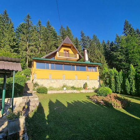 Green Forest Vlasic Dış mekan fotoğraf