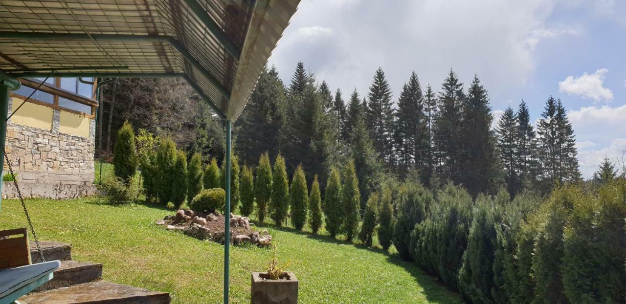 Green Forest Vlasic Dış mekan fotoğraf